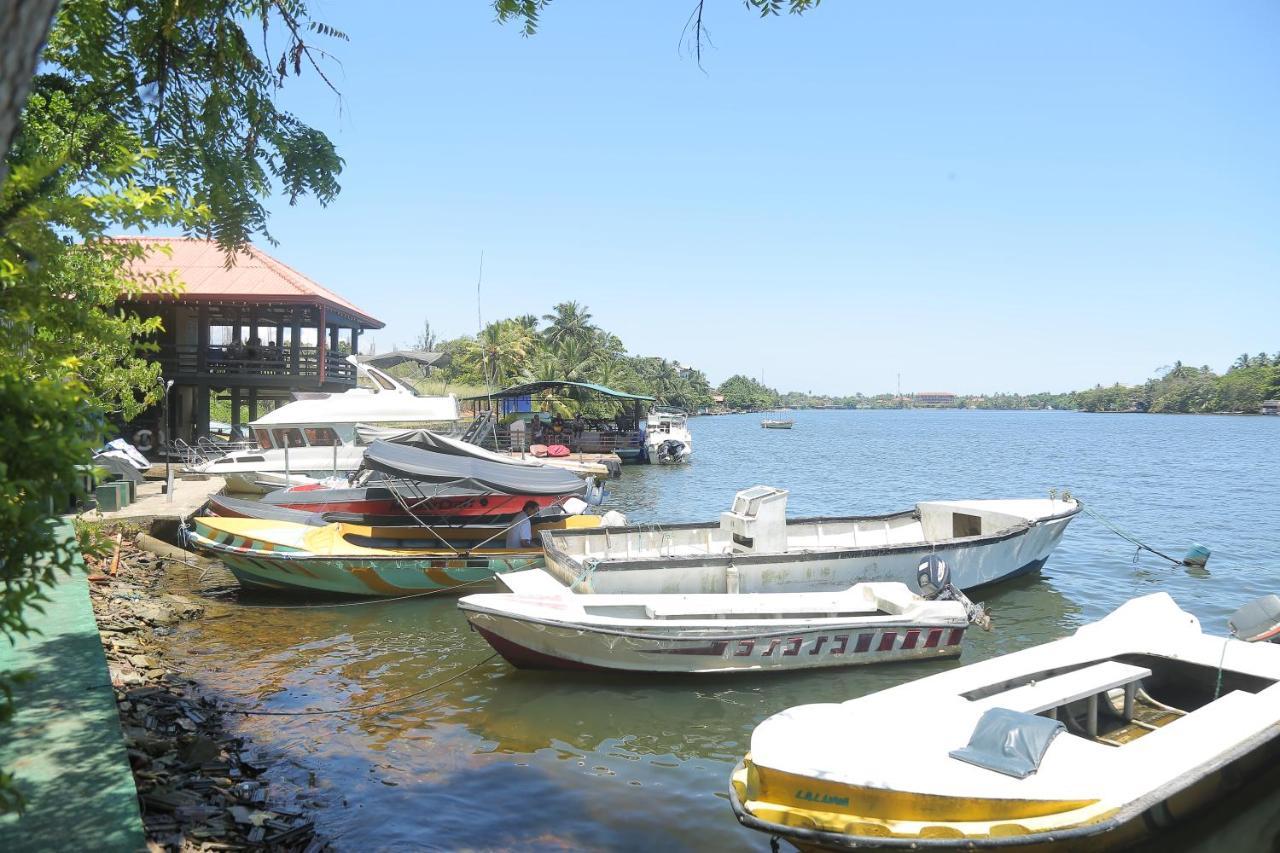 Laluna Ayurveda Resort Bentota Dış mekan fotoğraf