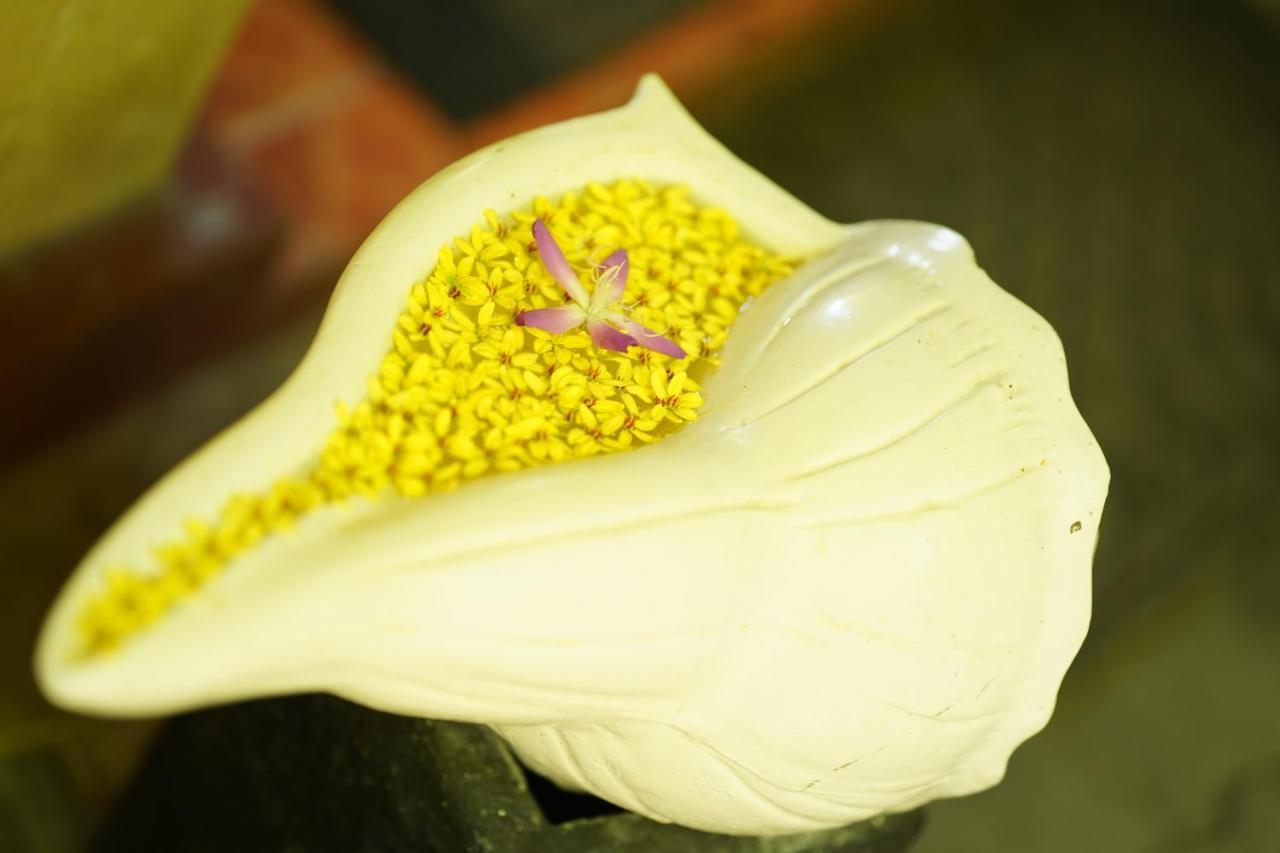 Laluna Ayurveda Resort Bentota Dış mekan fotoğraf